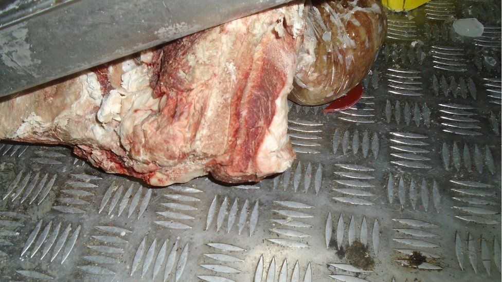 Meat on the floor of a freezer