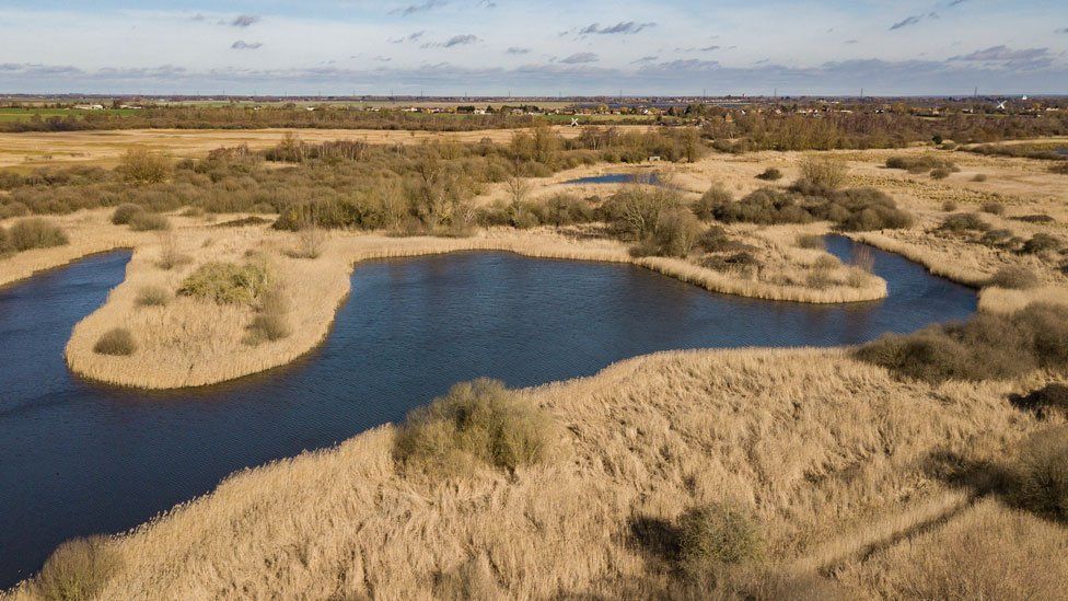 An aerial view of Wicken Fen showing trees and grasslands and an expanse of water