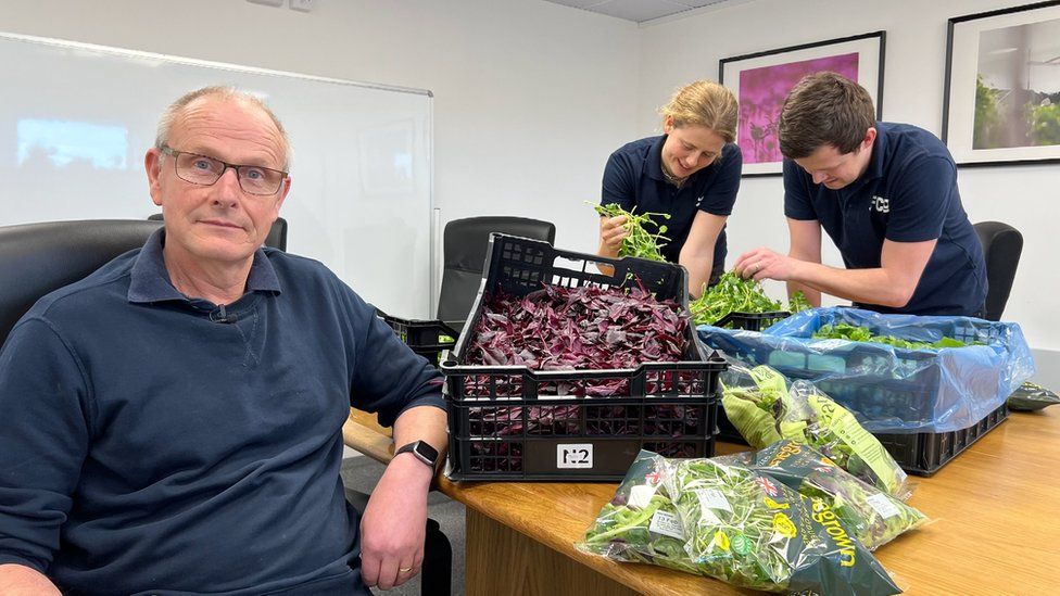 Glyn Stephens, Head Grower at Jones Food Company, sitting at a table beside some produce