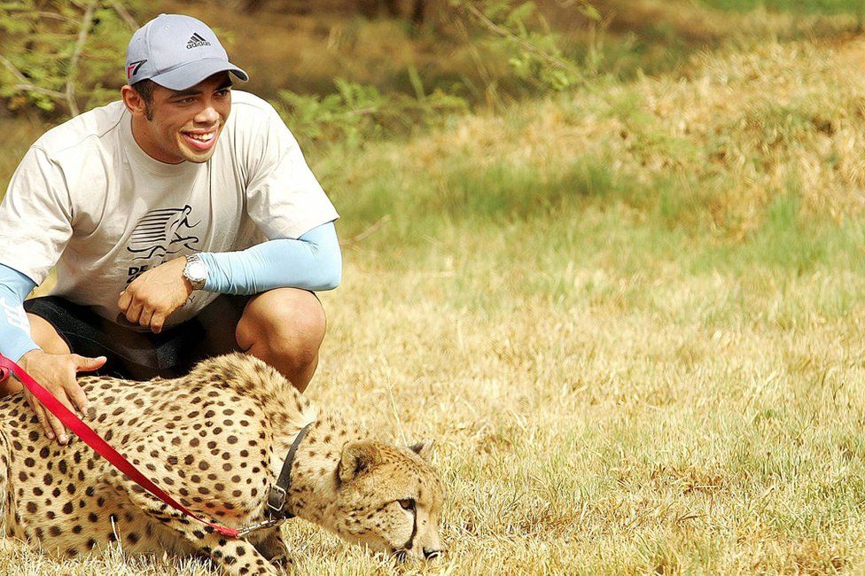 Bryan Habana crouches next to a cheetah