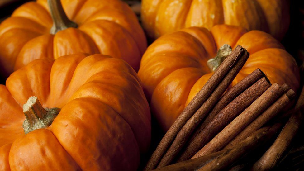The Surprising History of Pumpkin Spice, pumpkin, pumpkins, learn more from News Without Politics, best no bias news stories