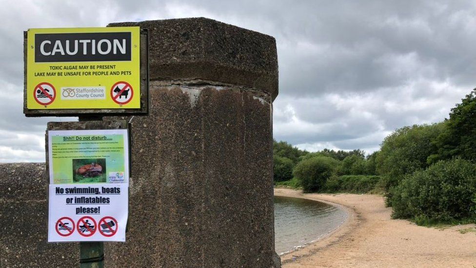 Warning at Chasewater Reservoir against swimming
