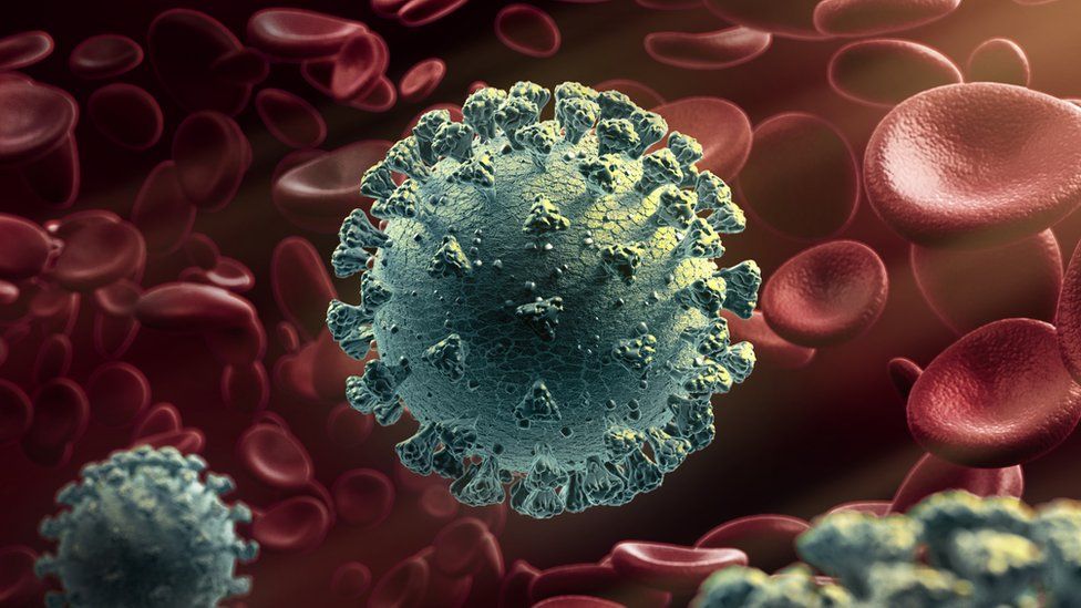 A computer-generated graphic of the virus in front of red blood cells