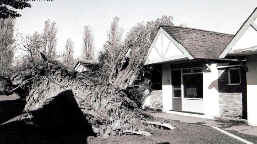 Damage from the Great Storm of 1987