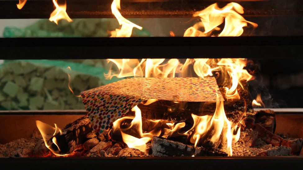 One of Damien Hirst's artworks being burned