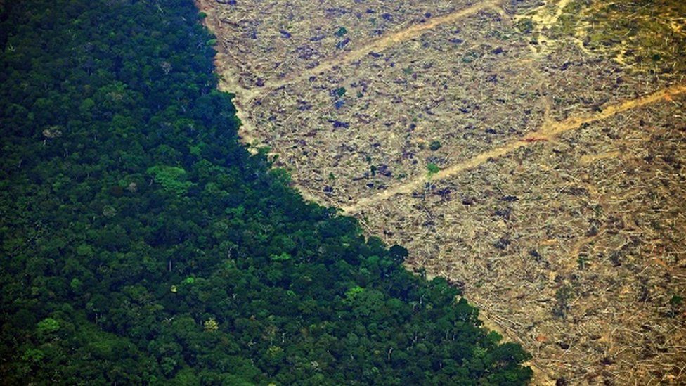 Aerial picture showing a deforested piece of land in the Amazon rainforest in Brazil in 2019