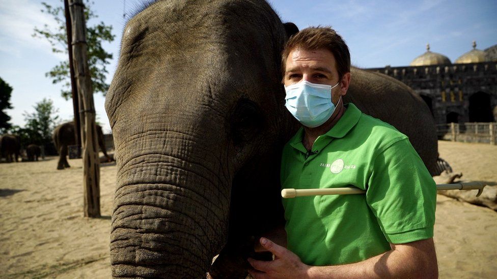 Rob Conachie with elephant