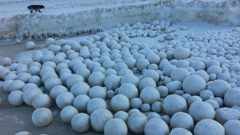 A picture of natural snowballs formed in the Gulf of Ob and photographed by Sergei Bychenkov.