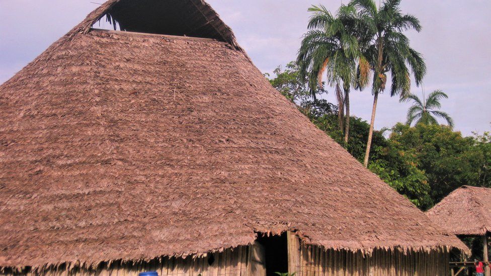 Thatched Amazon roundhouse
