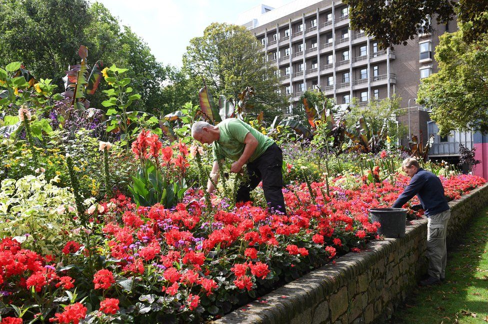 St Helier Parks Gardeners tend to the exotic beds in Parade Gardens