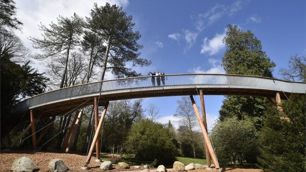 Westonbirt Arboretum treetop walkway