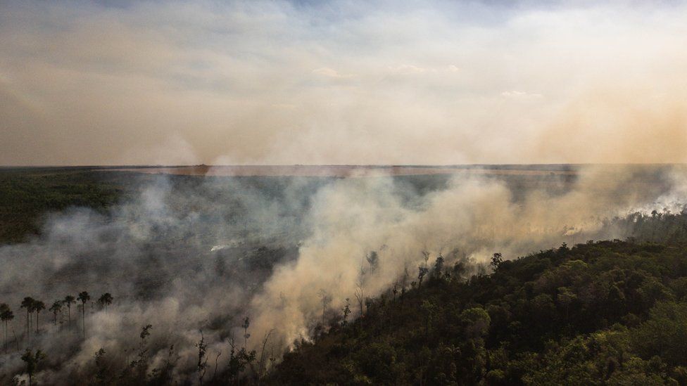 Fire in Brazil's Cerrado near croplands