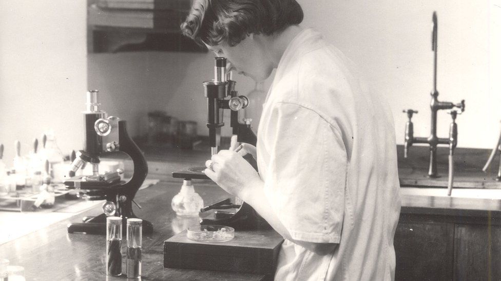 A scientist counting chromosomes through a microscope in the 1950s