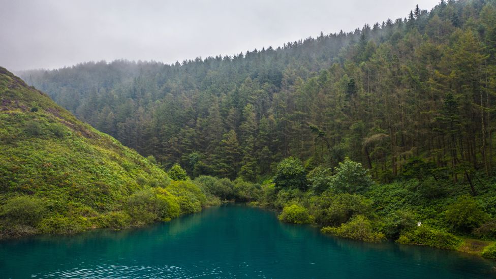 Stunning blue resevoir surrounded by a forest