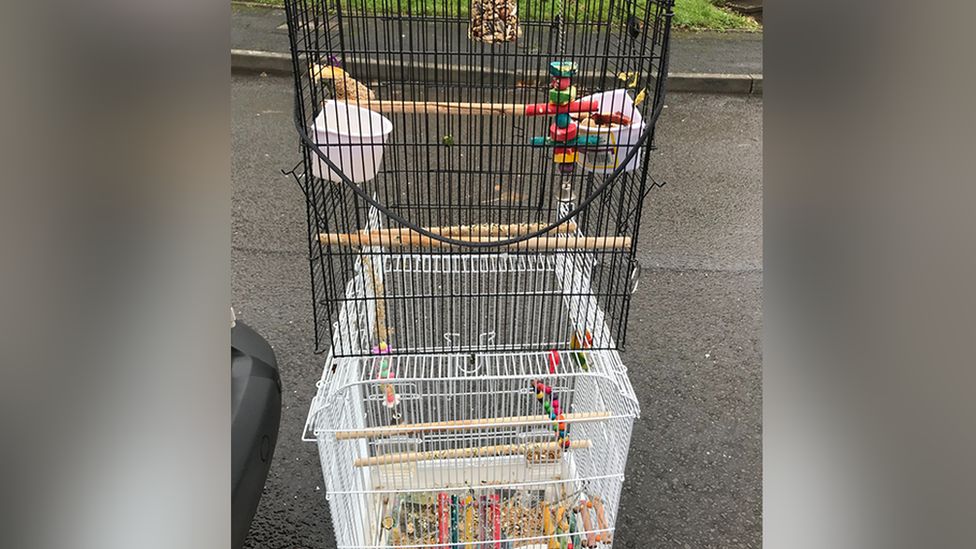 The lovebird's cage on the side of a road in Caerau, Cardiff