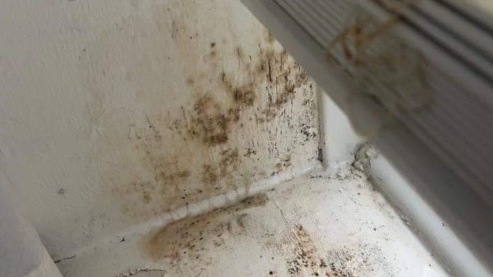 Damp and mould in Francesca Ward's flat
