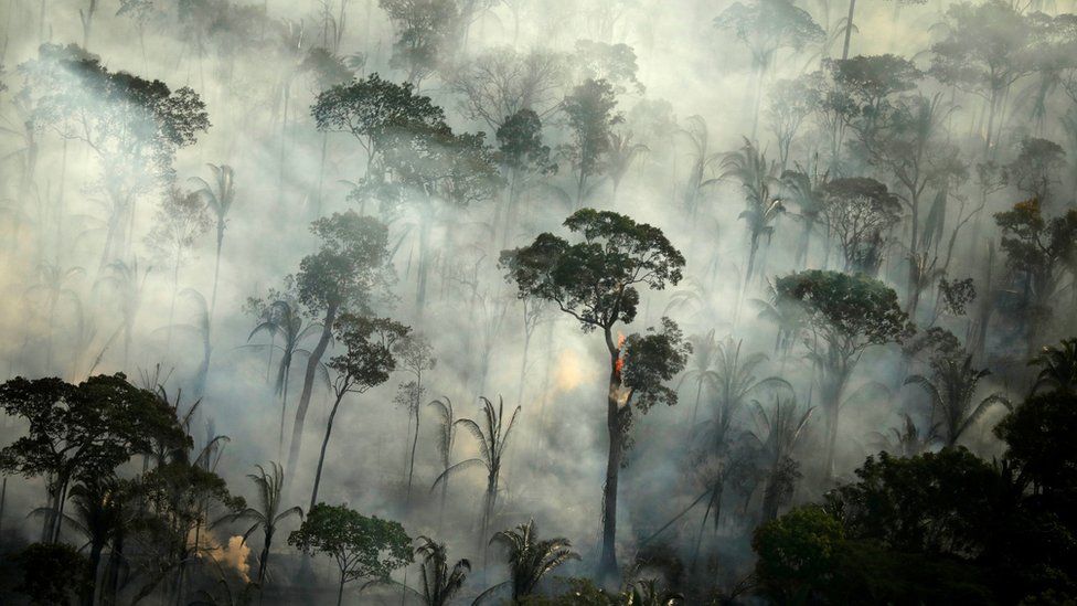 Smoke billows during a fire in an area of the Amazon rainforest near Porto Velho, Rondonia State, Brazil, September 10, 2019.