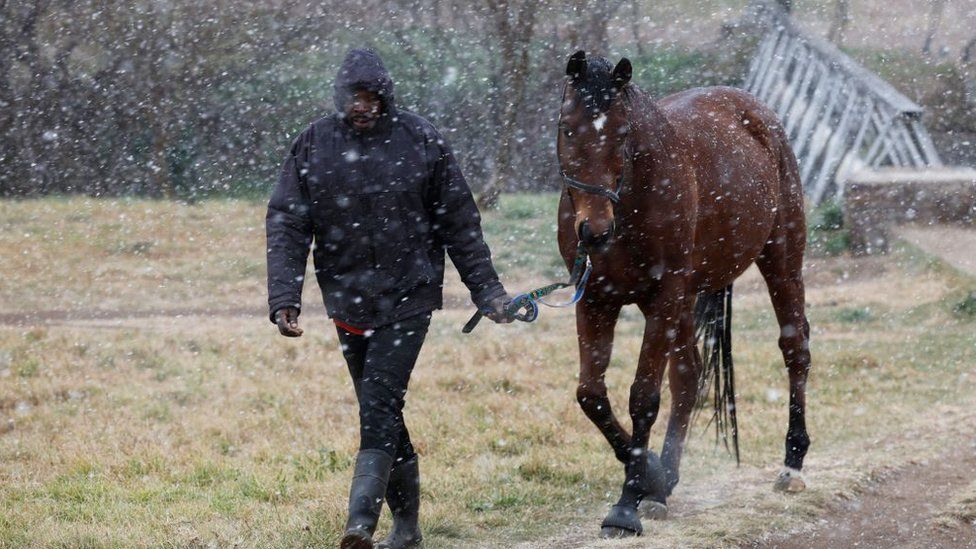 A man leads a horse through the snow on 10 July.