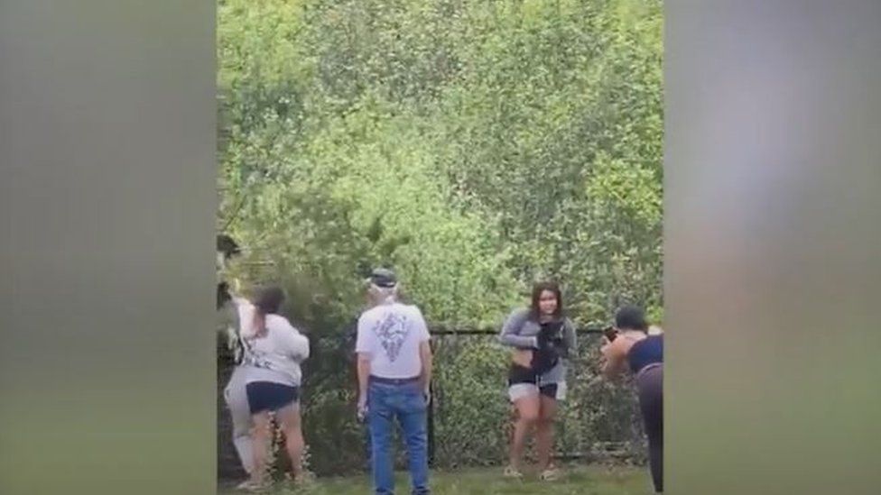 A screengrab from the video shows a woman holding a bear, appearing to pose in front of camera