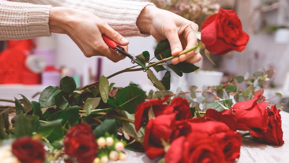Woman prepares red roses