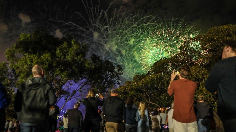 People watch 9pm fireworks at Sydney Botanic Gardens, in Australia