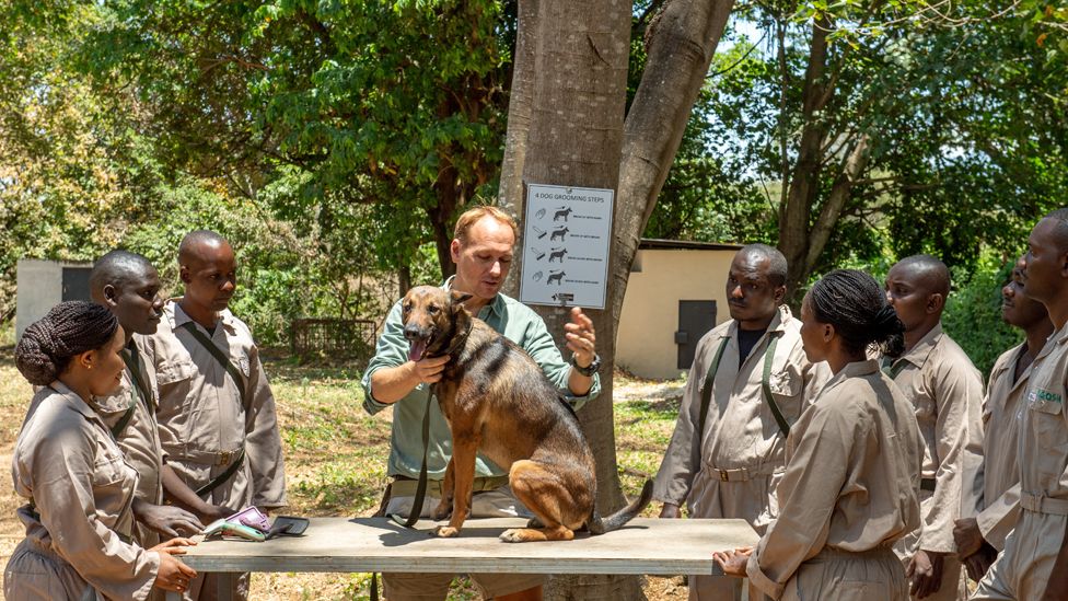 Will Powell, with a dog sitting on a table, talking to trainees during a session in Arusha, Tanzania