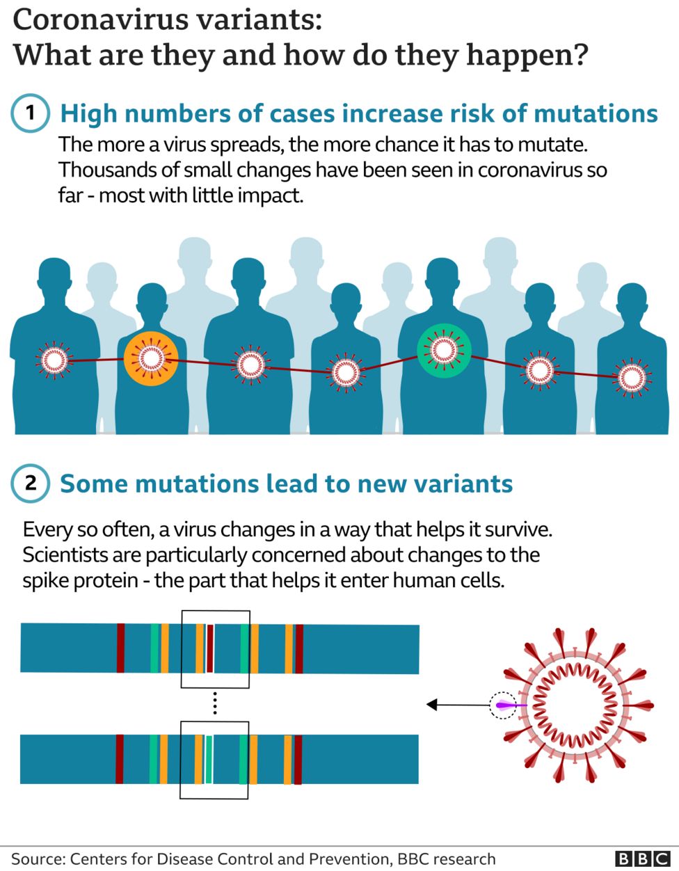 Whats the chance of every mutation?