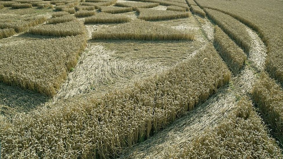 Wiltshire crop circle brings hundreds to farm - BBC News