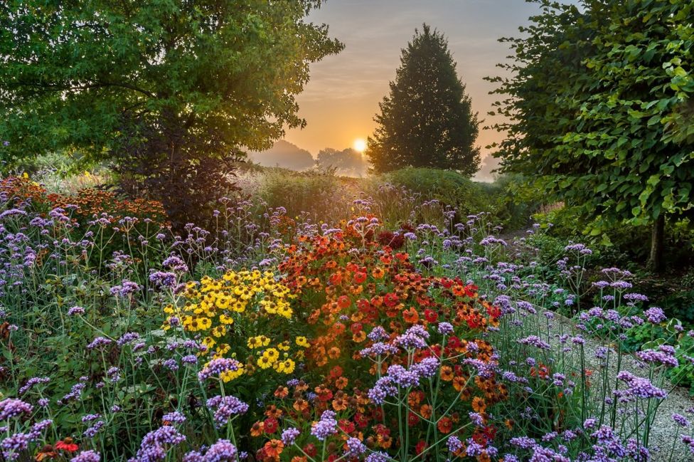 A field of purple, yellow, orange and red flowers