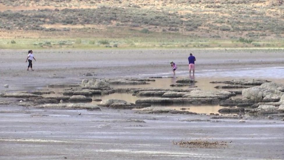 Salt Lake City Lds Shooting Manhunt Underway After Two Killed Six