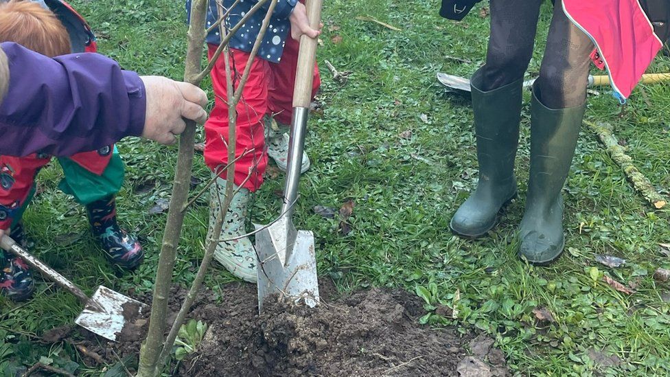 Guernsey Girlguides plant trees