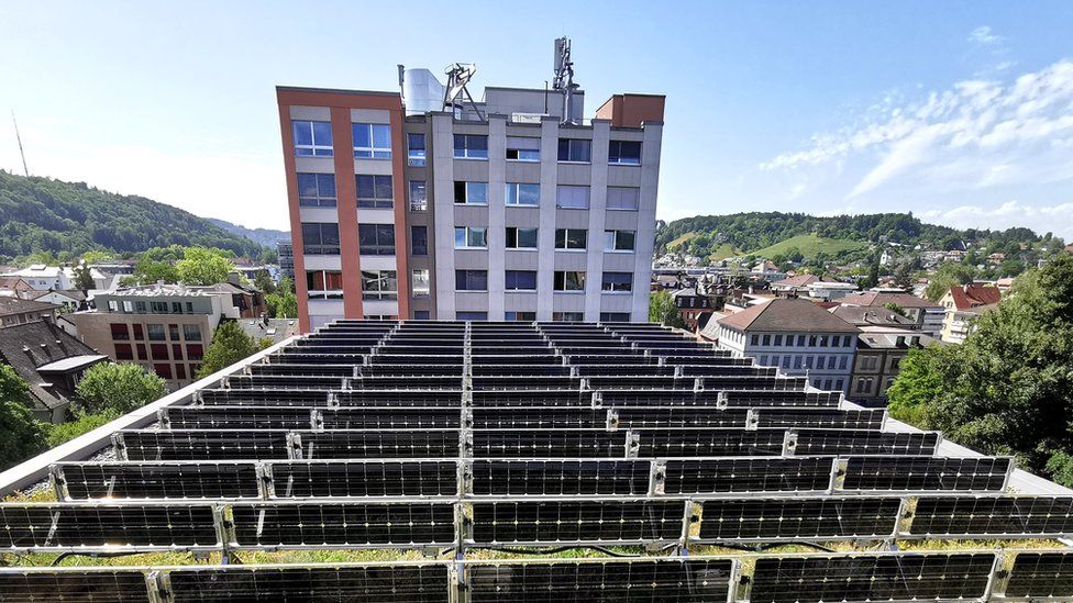 Upright solar panels on a green roof.
