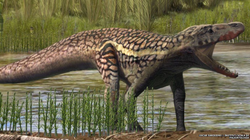 Artistic reconstruction of an archosauromorph