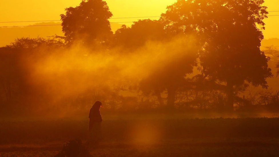 An Indian farmer works in the field during cold weather on New Year morning in Ajmer, Rajasthan, India on 01 January 2023. (Photo by Stringer/Anadolu Agency via Getty Images)