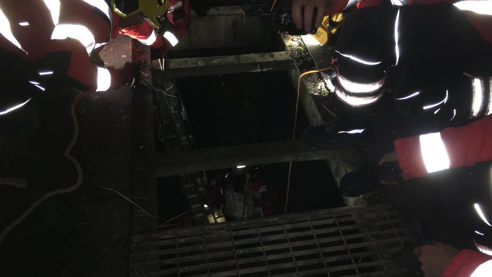 Dog and owner rescued from 'extreme danger' sluice gate - BBC News