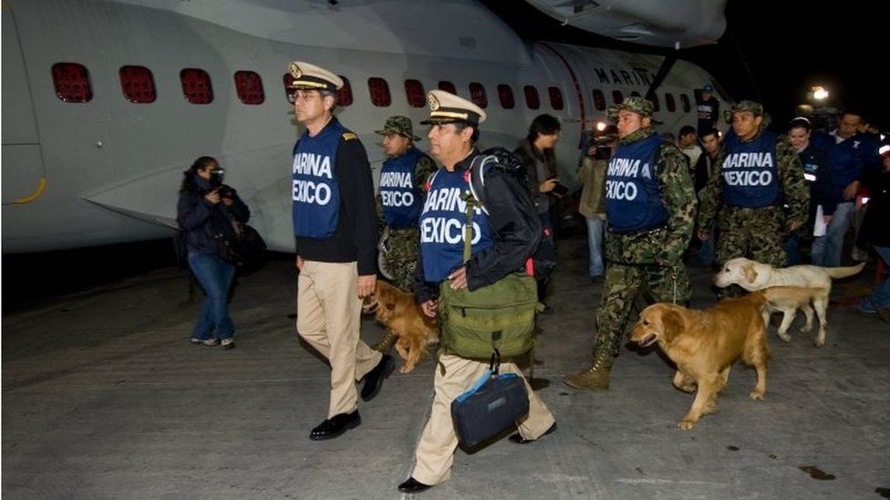 Các thành viên của Hải quân Mexico cùng với những chú chó đánh hơi chuẩn bị rời thành phố Mexico tới Haiti vào ngày 13 tháng 1 năm 2010. Lực lượng cứu hộ, chó đánh hơi, thiết bị và vật tư hướng đến Haiti vào năm 2010