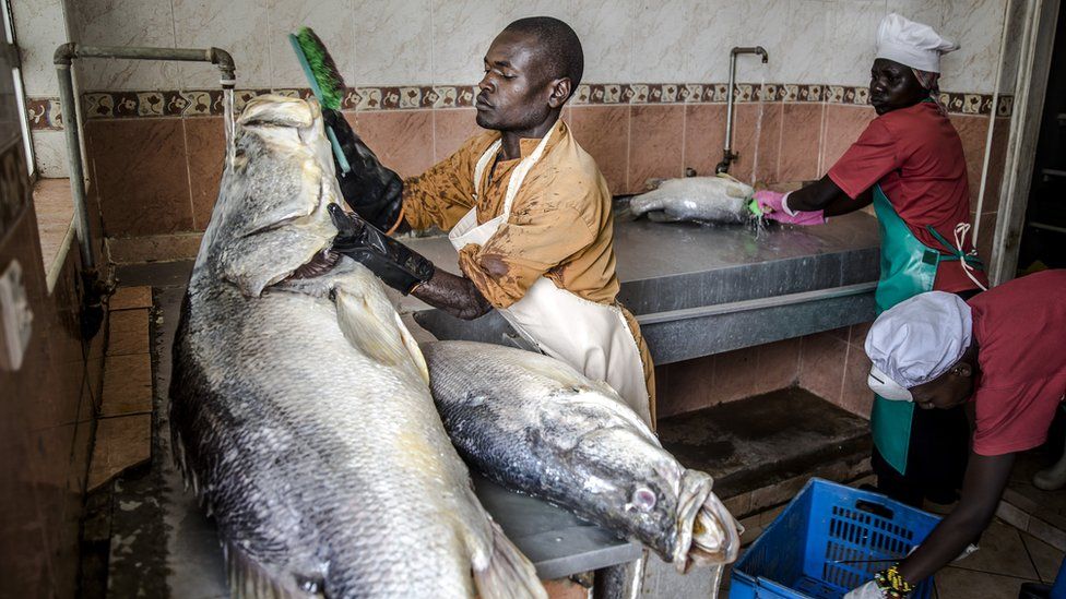 Workers at Victorian Foods clean Nile perch fish ahead of removing the skin