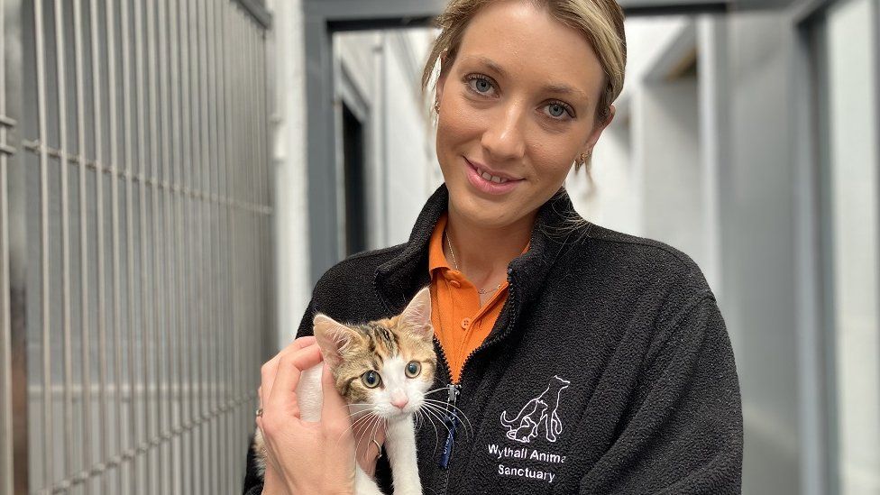 Danielle Howard with some kittens