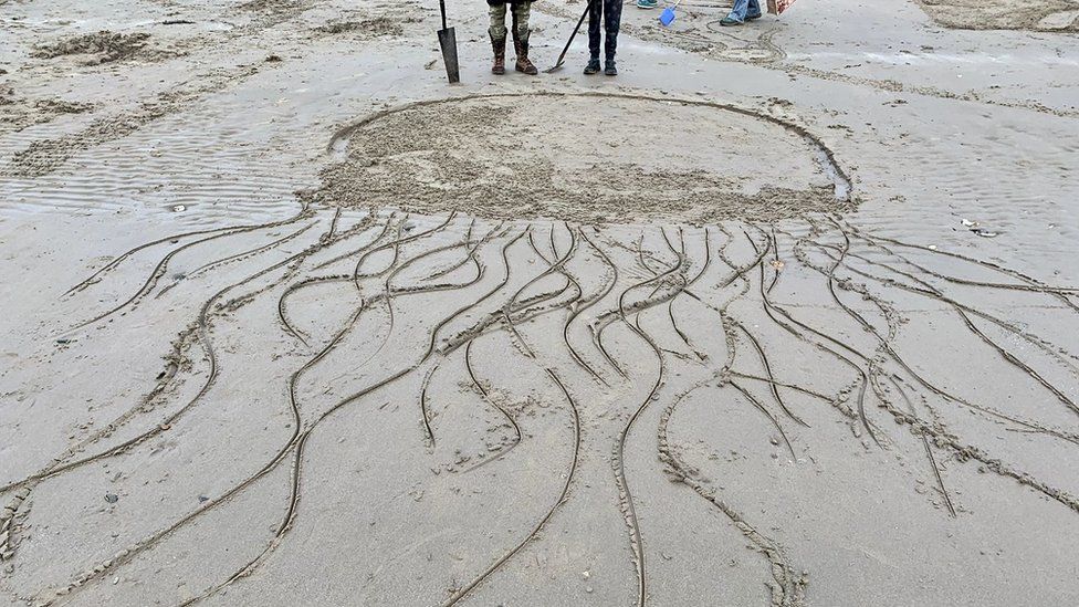 Медуза, нарисованная на пляже