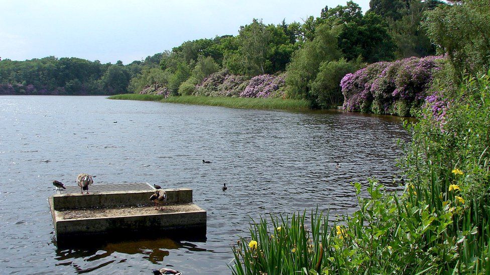 Obelisk Pond in Windsor Great Park