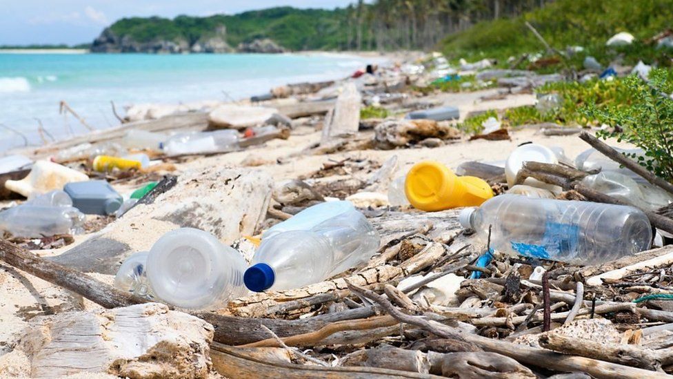 Plastic bottles on a beach.