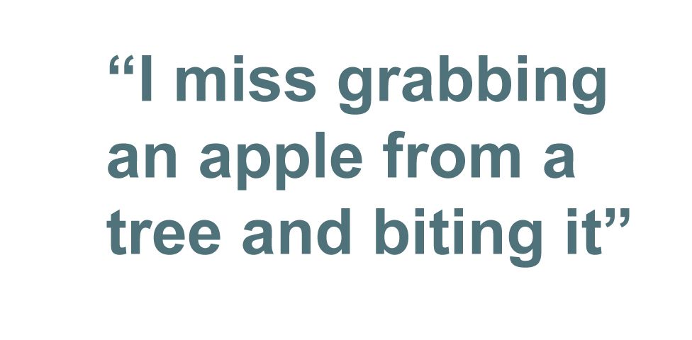 Quotebox: 'I miss grabbing an apple from a tree and biting it'