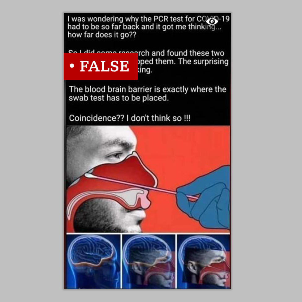 Post on social media claiming that the blood brain barrier is the spot where a coronavirus test using a nasal swab is carried out. We labelled it 'false'. Includes anatomical drawing of swab stick inside a nose.