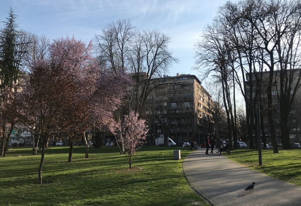 tašmajdanski park