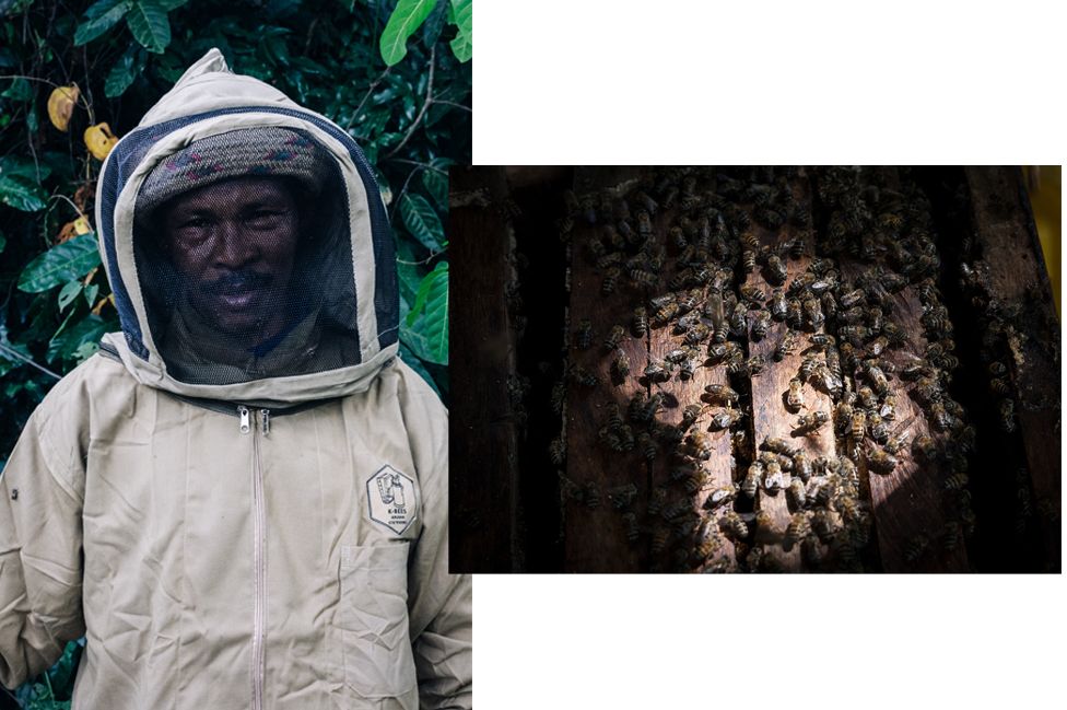 Mohamed Abdula Mshiti in his beekeeping outfit