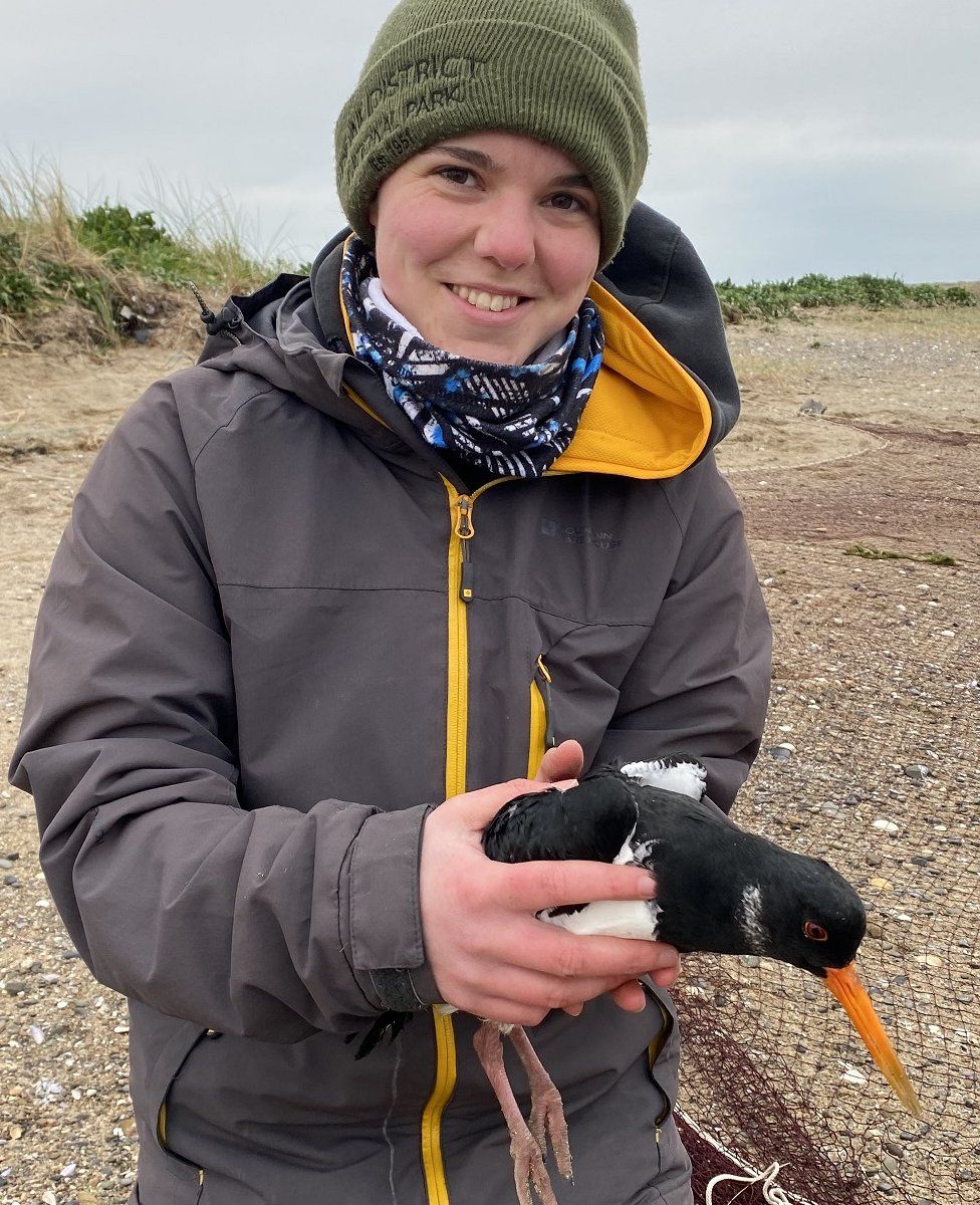 Steph Trapp holding oystercatcher