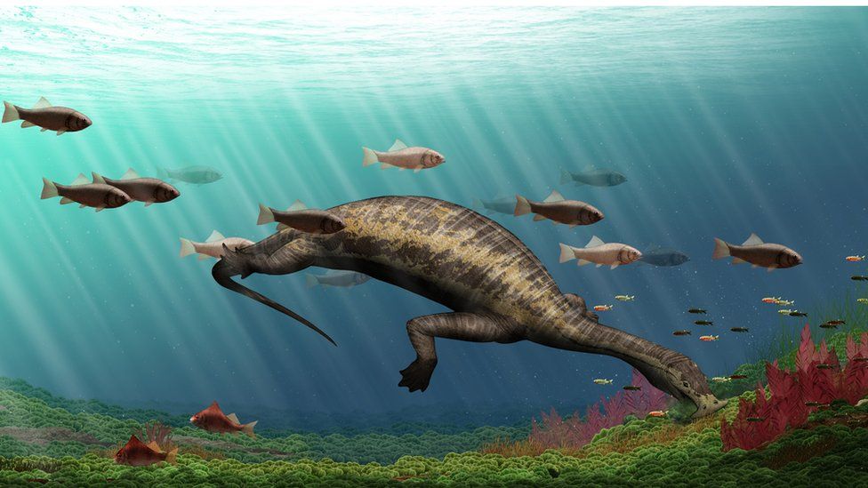 The Strange Bizarre Crest Of A Newly Discovered Fossil Reptile - 1uiuwrt
