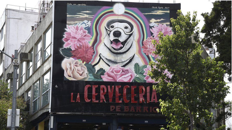 View of a large mural paint in honour to Frida, the Mexican Navy's rescue dog in Mexico City