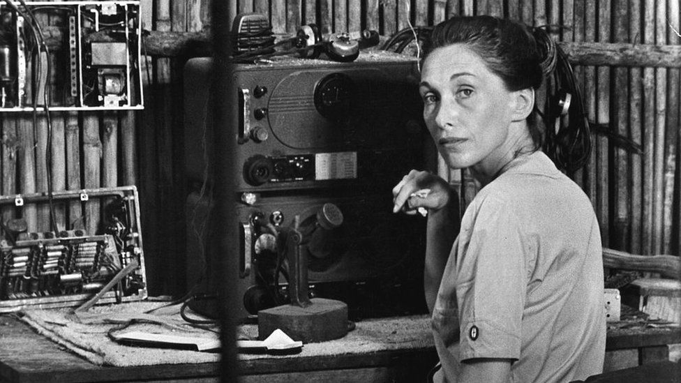 Bywyd a gyrfa yr actores Siân Phillips - BBC Cymru Fyw