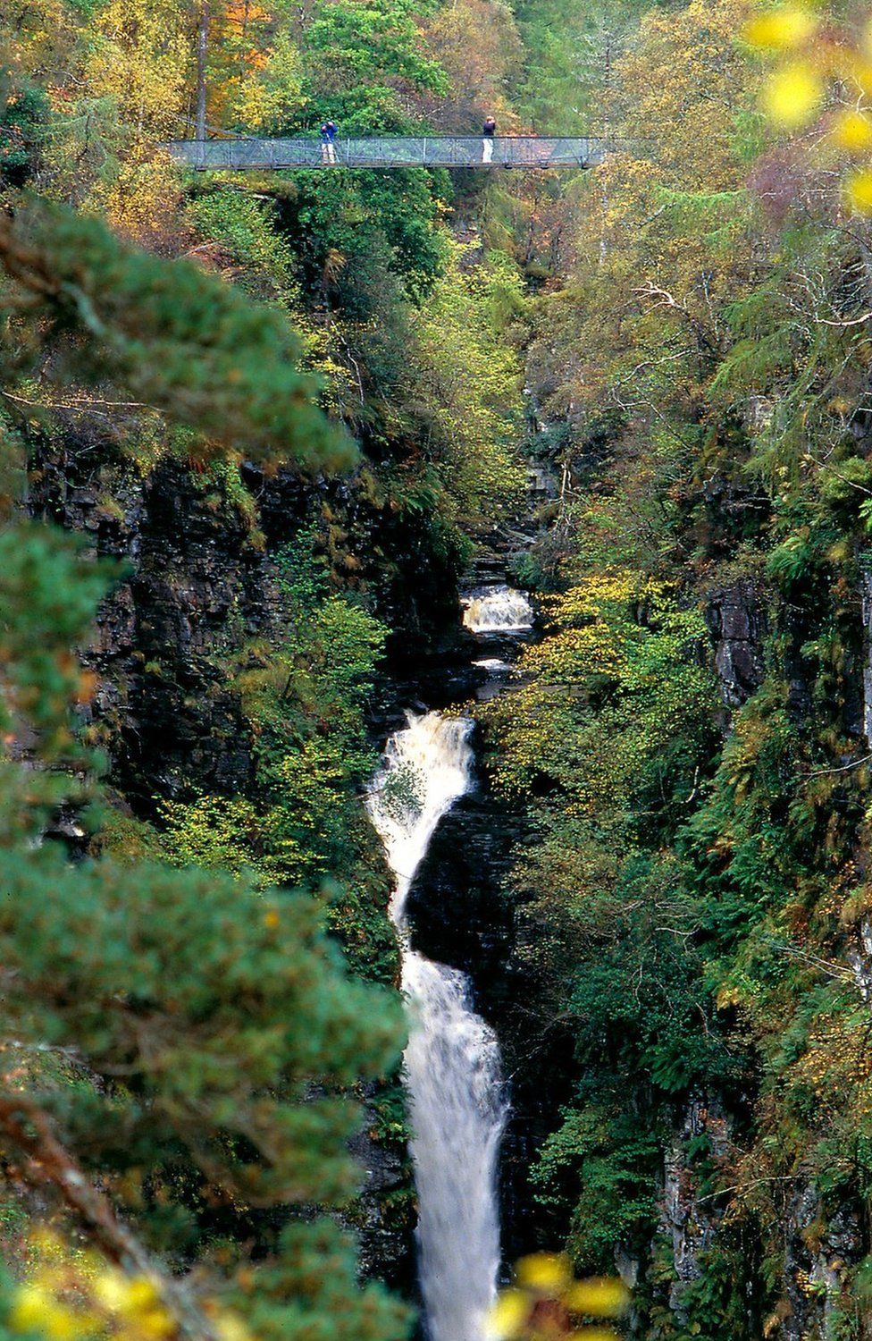 The gorge is known for its biodiversity; having a diverse range of native trees including hazel, rowan and birch.